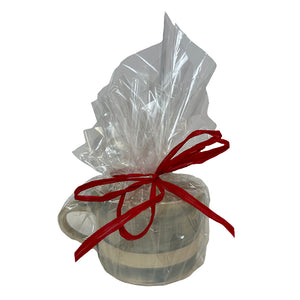 Wonki Ware Squat Mug Gift Set Duck Egg