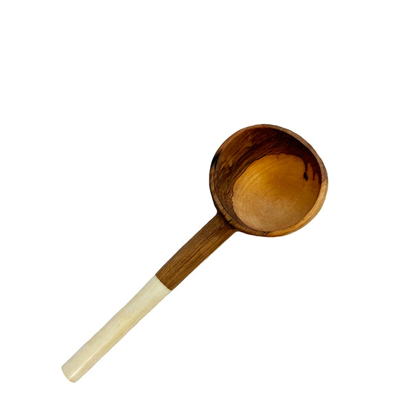 Wild Olive Wood Coffee Spoon with Bone Handle